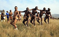 Traditional Tswana Dancers Johannesburg