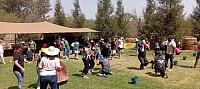Interactive Outdoor Team Building