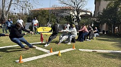Tug Of War Team Building